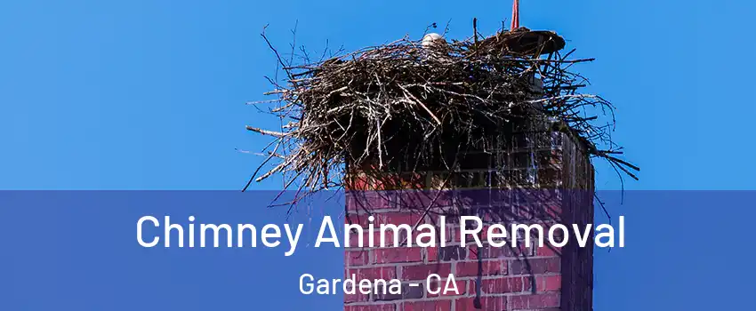  Chimney Animal Removal Gardena - CA