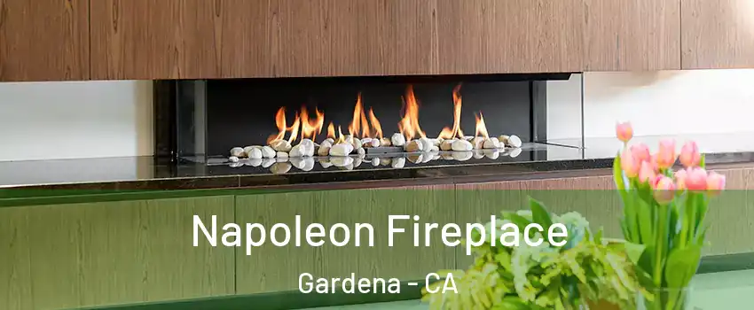  Napoleon Fireplace Gardena - CA